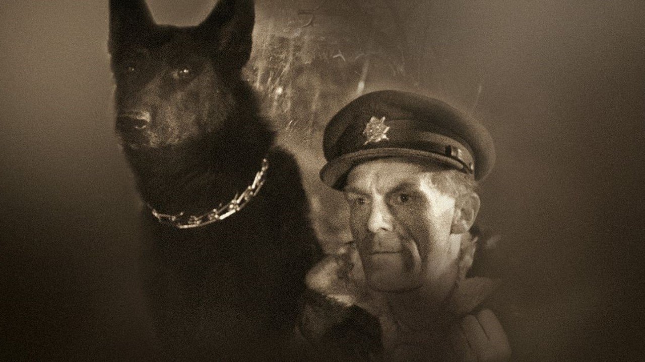 King of the Sumava backdrop