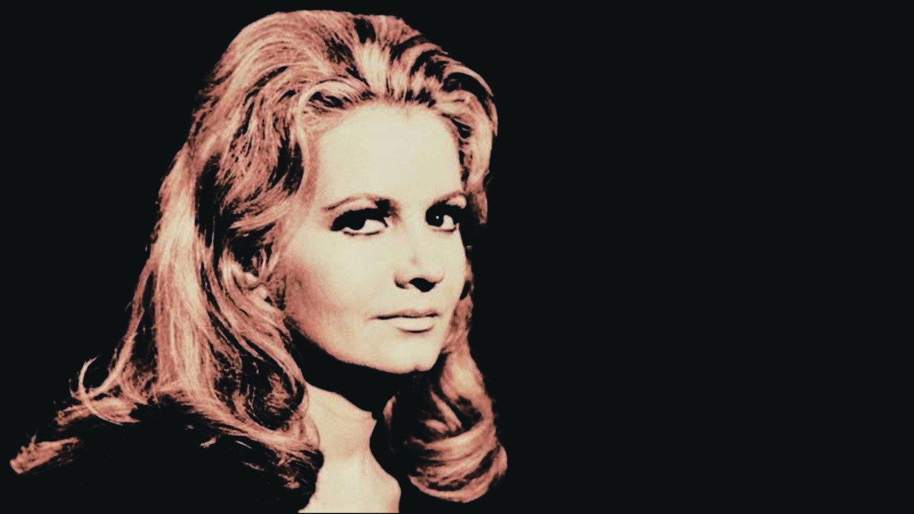 O Santo Mestiço backdrop