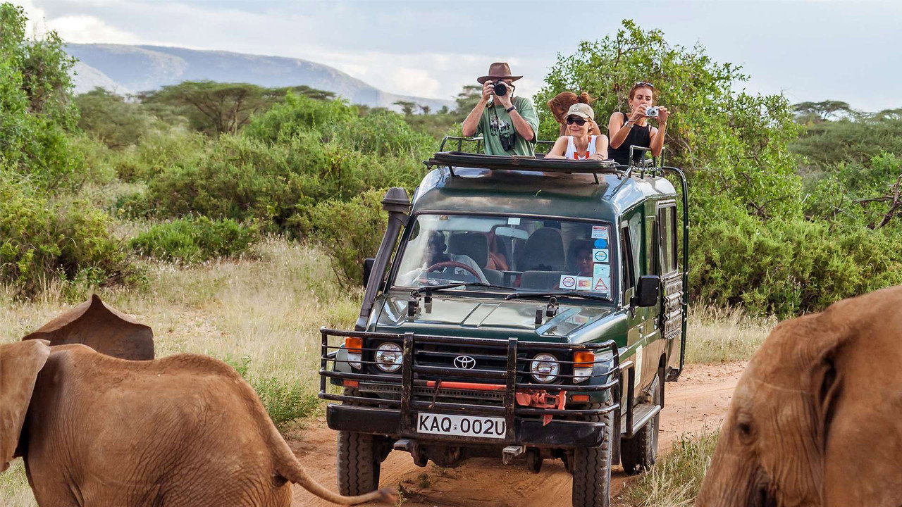 Killer Safari backdrop