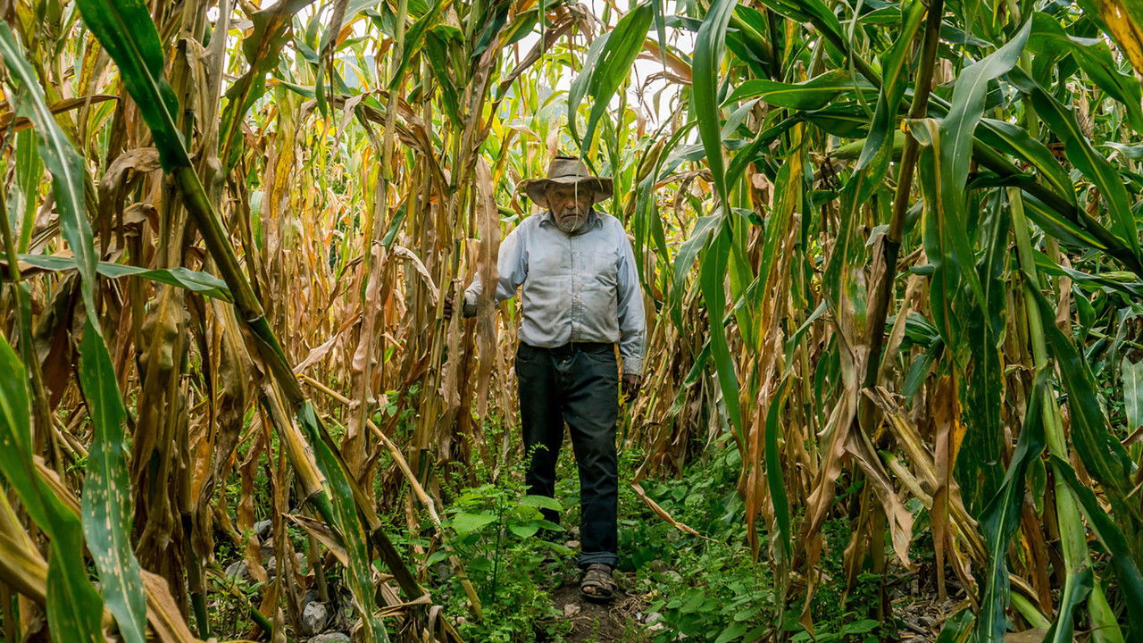There in the Sky backdrop