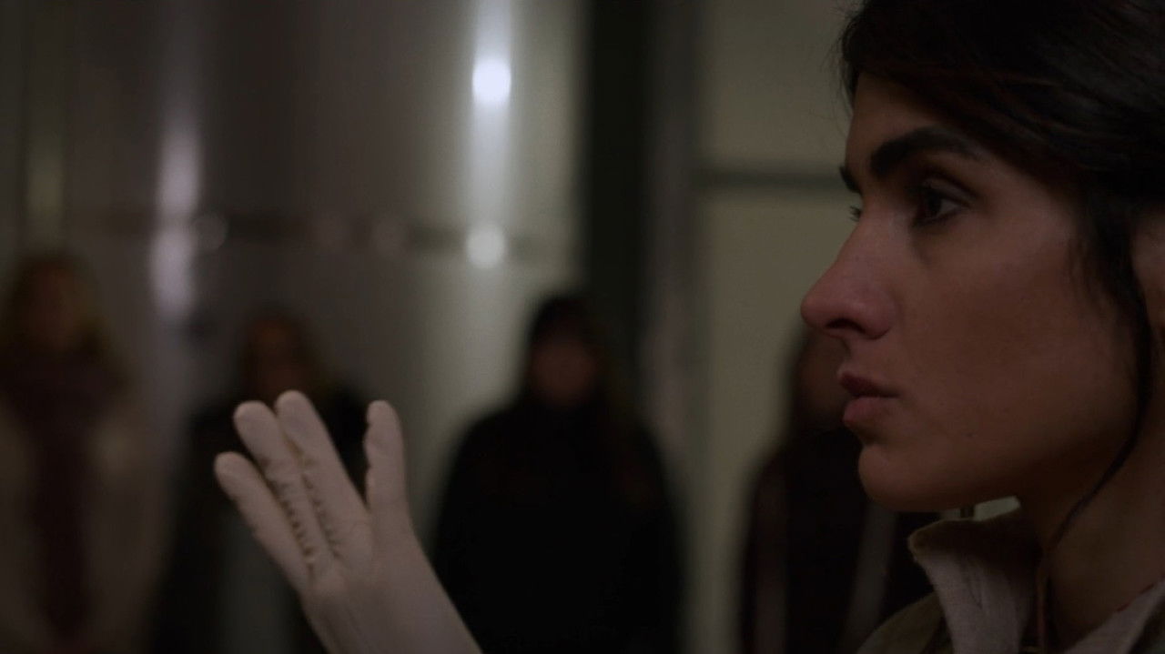 Hygiene Standards backdrop