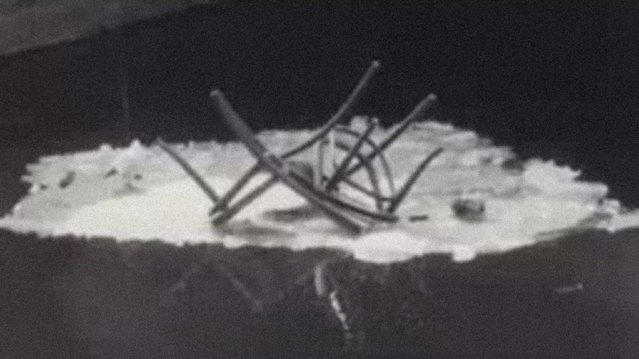 It Snowed in the Morning... backdrop