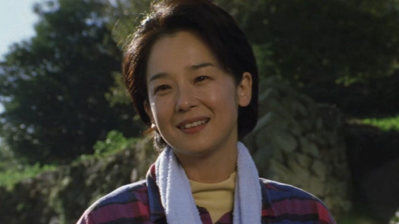 The Rainbow Seeker backdrop