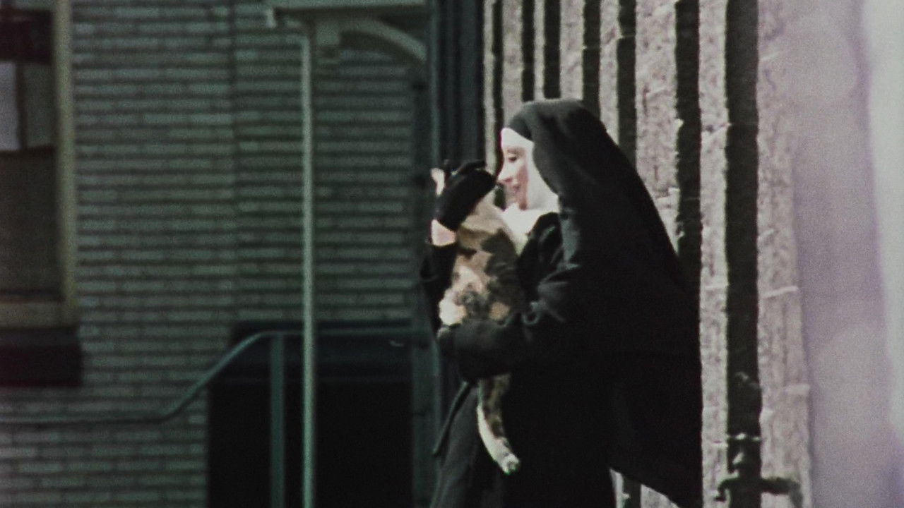 Virgin Lovers backdrop