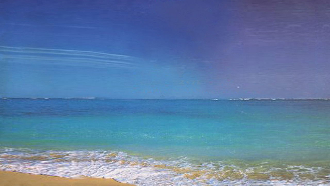 WWE Royal Rumble 1995 backdrop