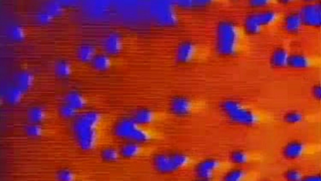 23 Skidoo, 7 Songs backdrop