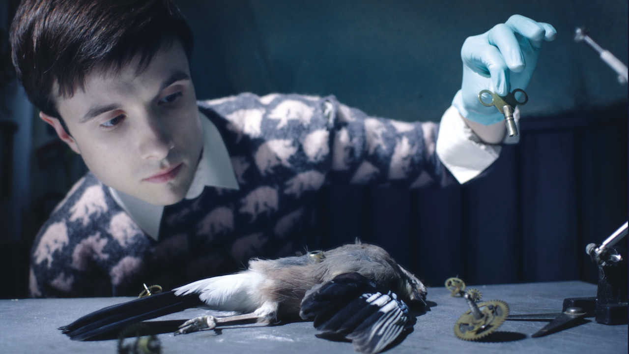 Stanley Pickle backdrop