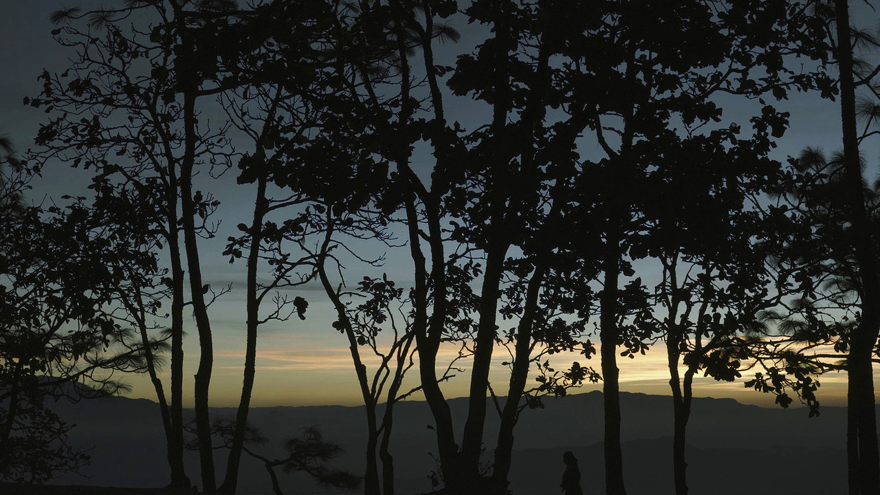 Aunt Lucía backdrop