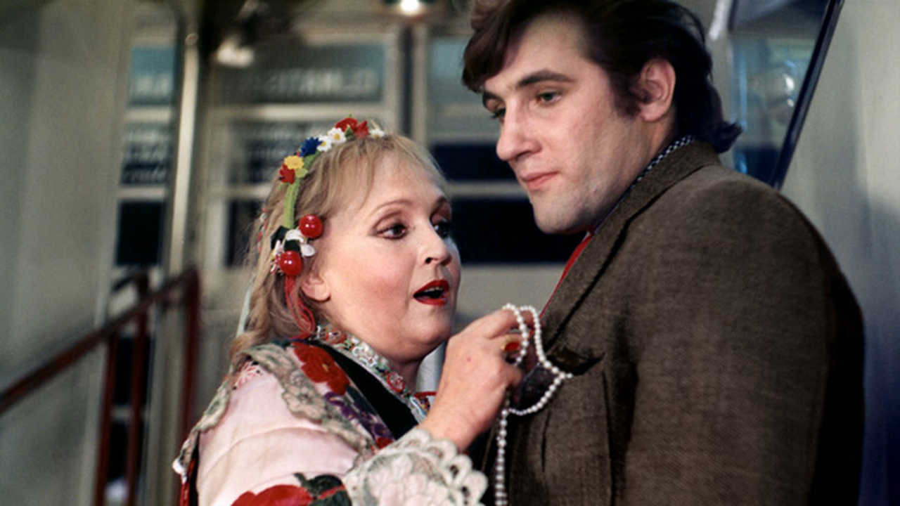 At Night All Cats Are Crazy backdrop