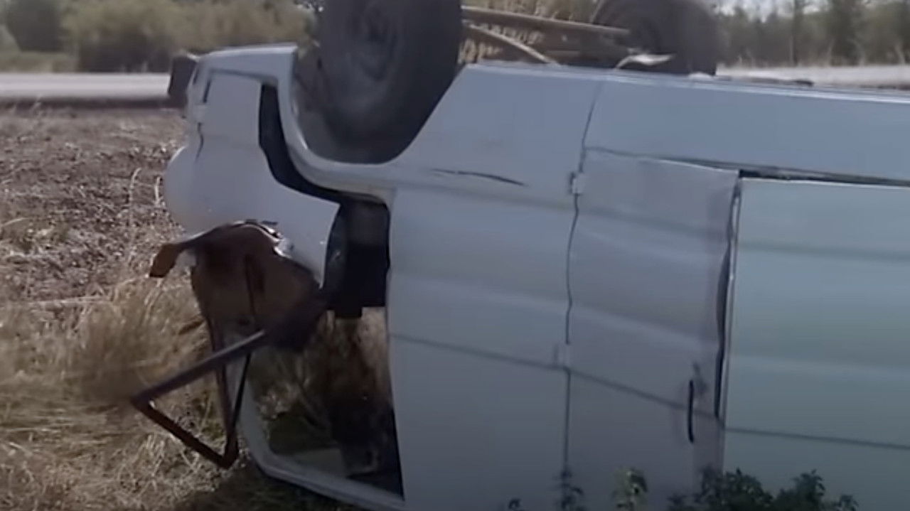 A Summer to Remember backdrop