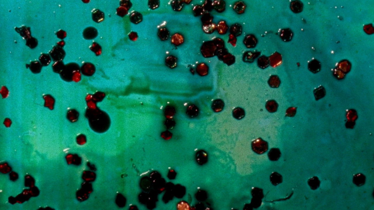 Color Neutral backdrop