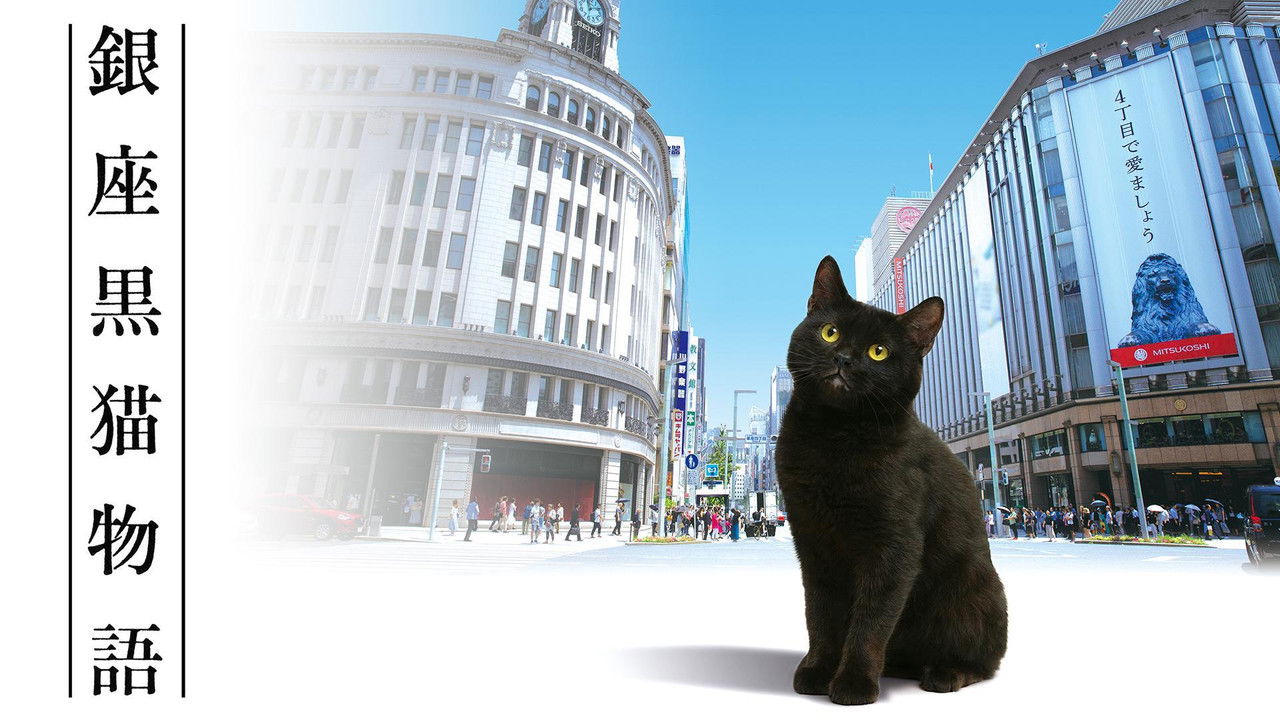 Ginza Black Cat Story backdrop