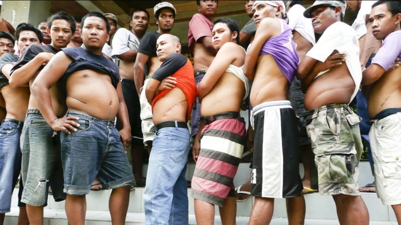 Tales from the Organ Trade backdrop