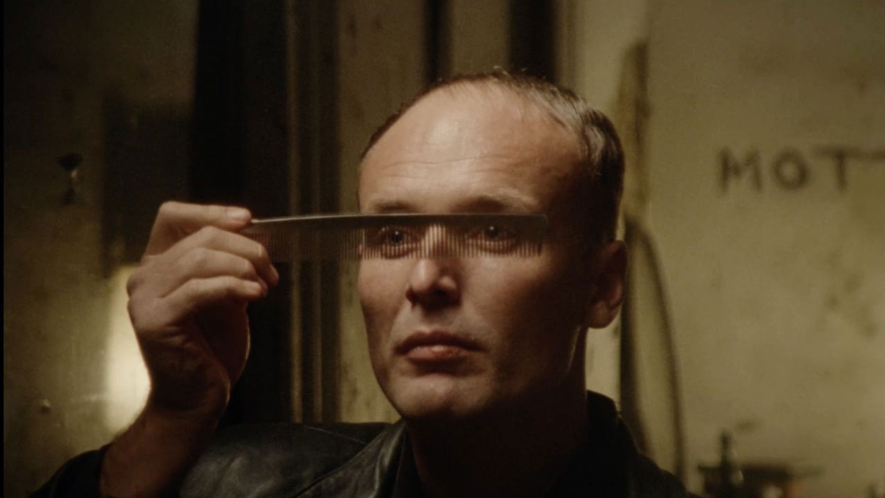 Universe 25 backdrop