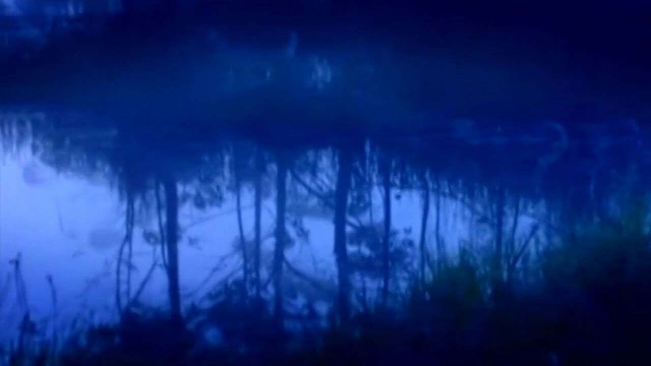 Os Melhores Anos de Nossas Vidas backdrop