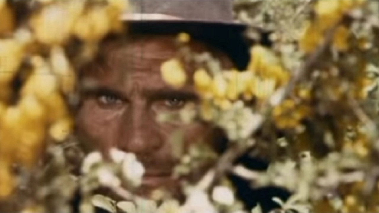 Let's Go And Kill Sartana backdrop