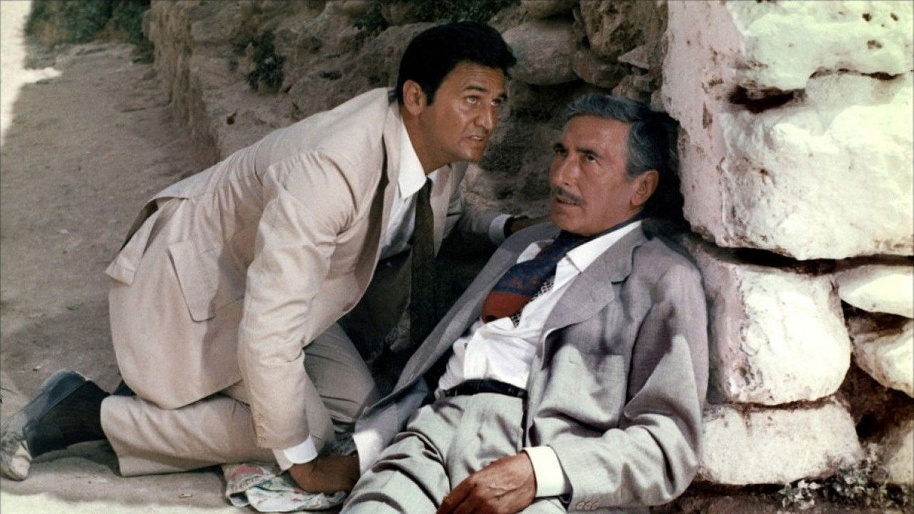 Our Agent Tiger backdrop