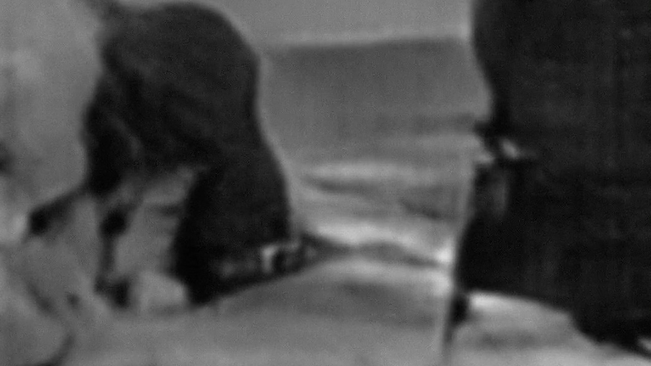 Untitled 1 (No. Nothing.) backdrop