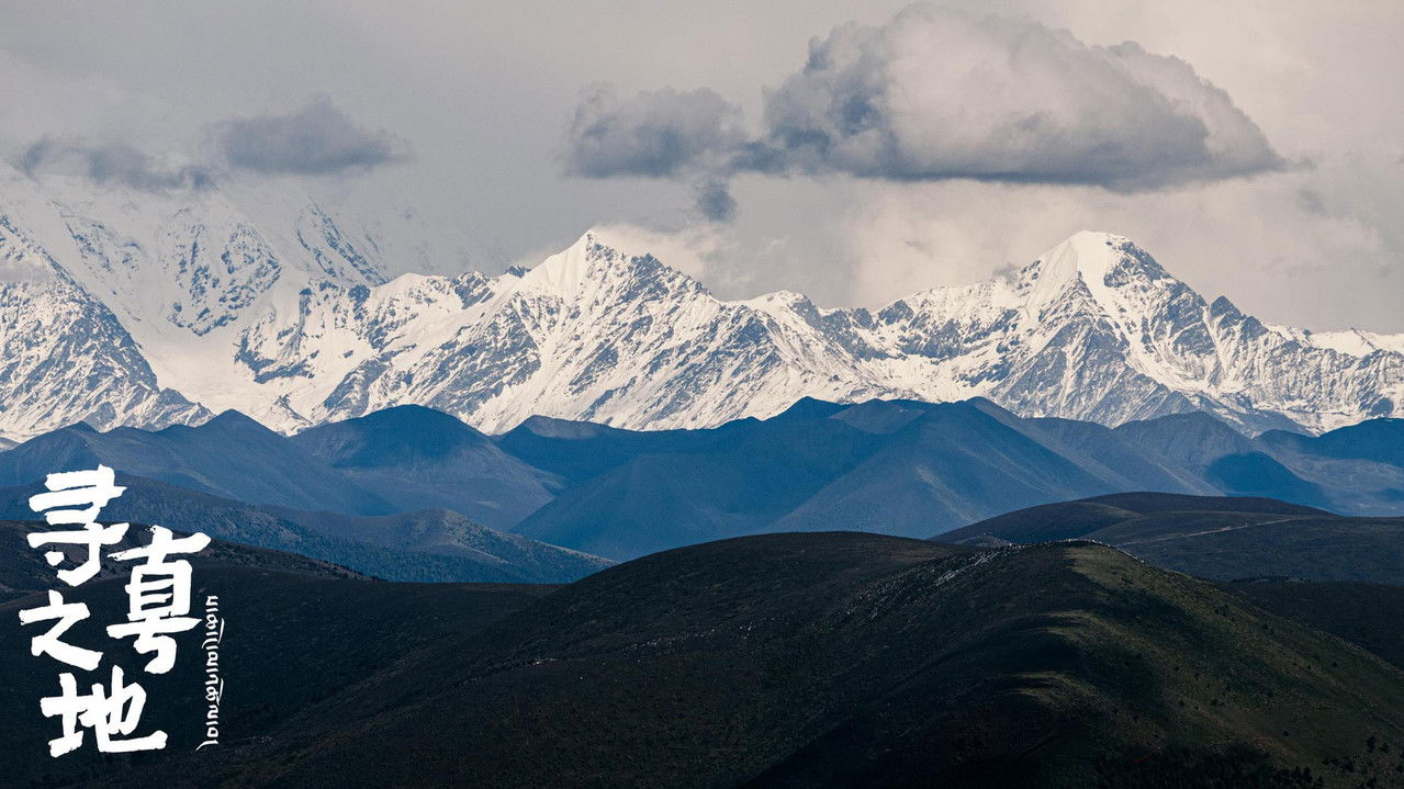 The Land of the Pure backdrop