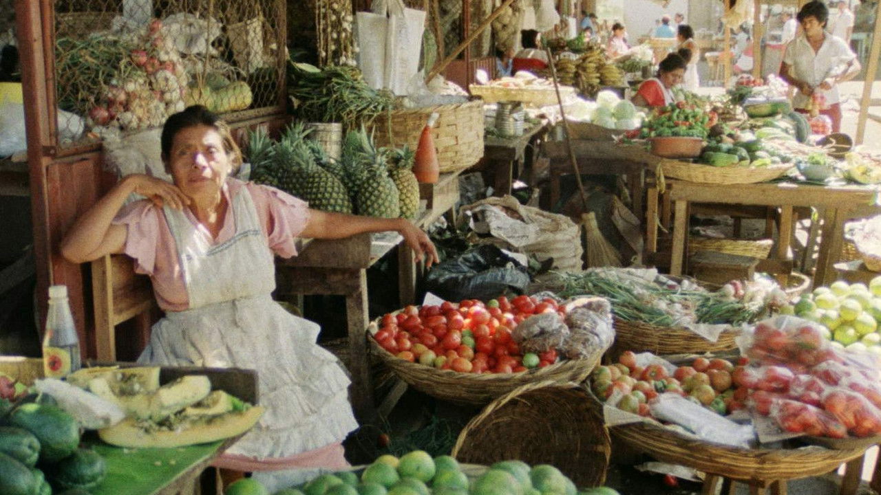Unterwegs in Nikaragua - Eine filmische Reisebeschreibung für Kinder backdrop