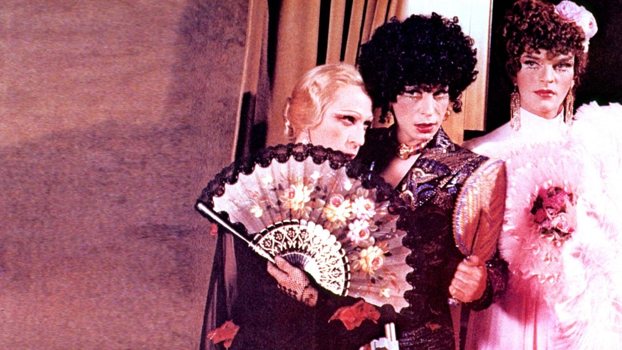 L'importante è non farsi notare backdrop