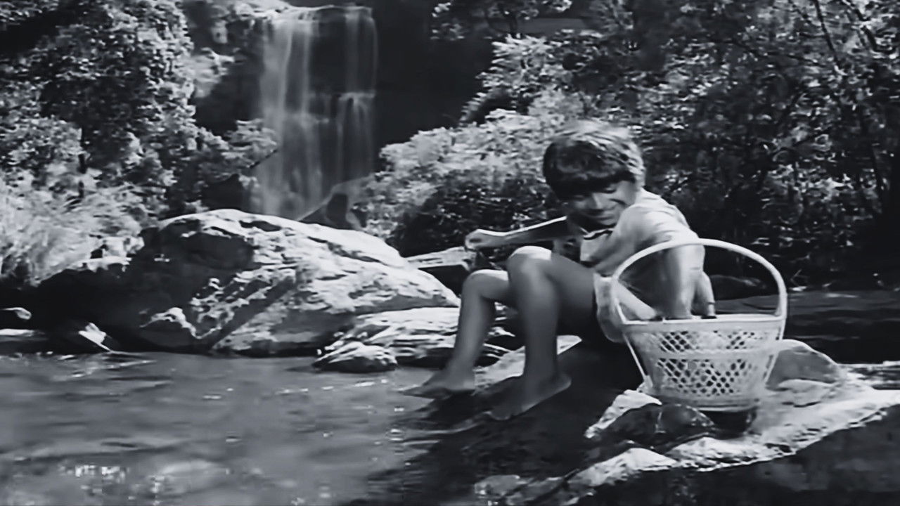 Bettada Hoovu backdrop