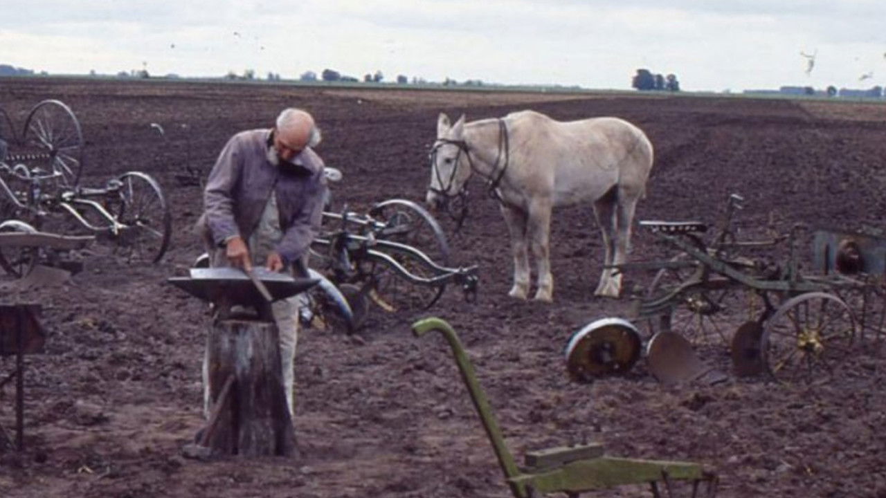¡Que vivan los crotos! backdrop