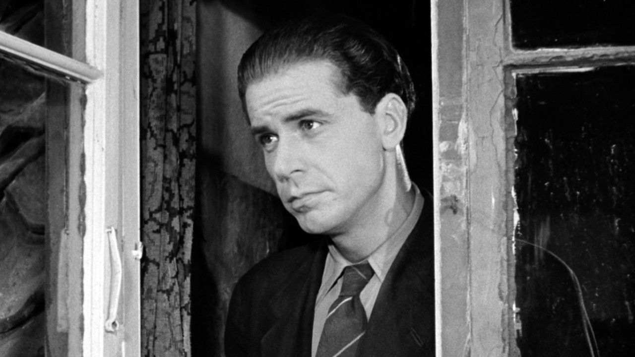 Spurve under taget backdrop