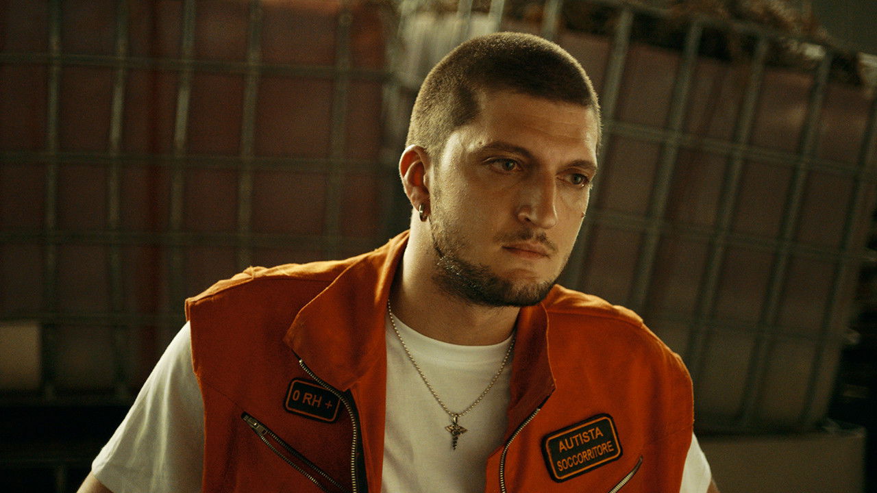 Animali randagi backdrop