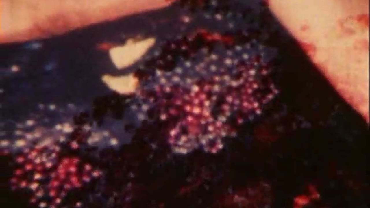 Garden of Luxor backdrop