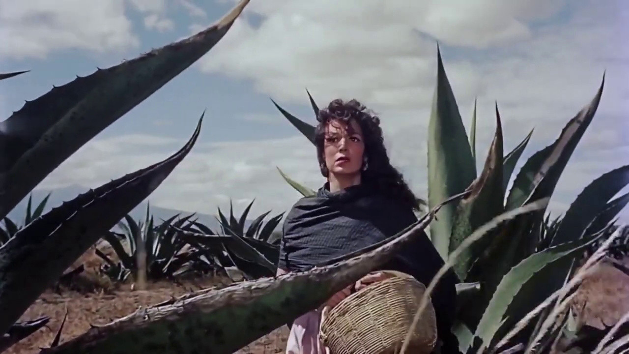 The Hidden One backdrop