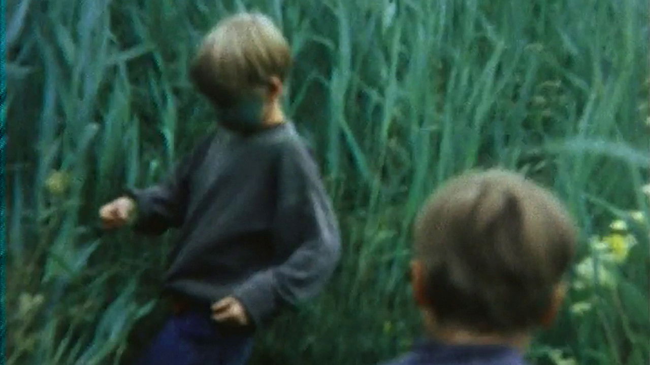 Das fliegende Bild backdrop