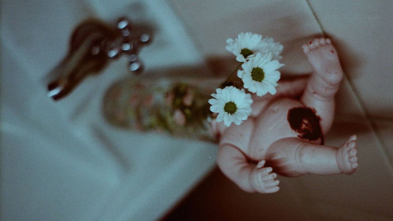 As Tristes Lágrimas do Crocodilo backdrop