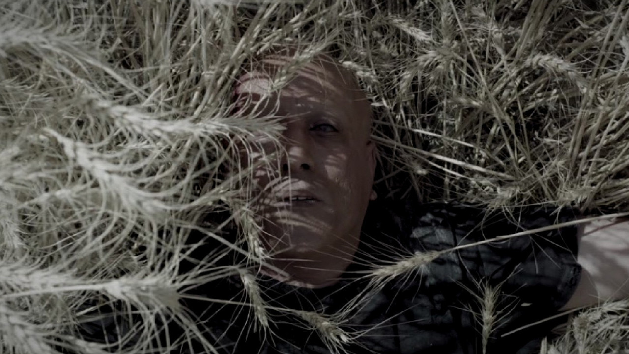 Confessions of My Dangerous Mind backdrop