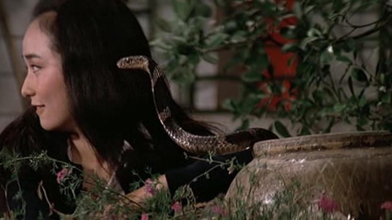 Fangs of the Cobra backdrop