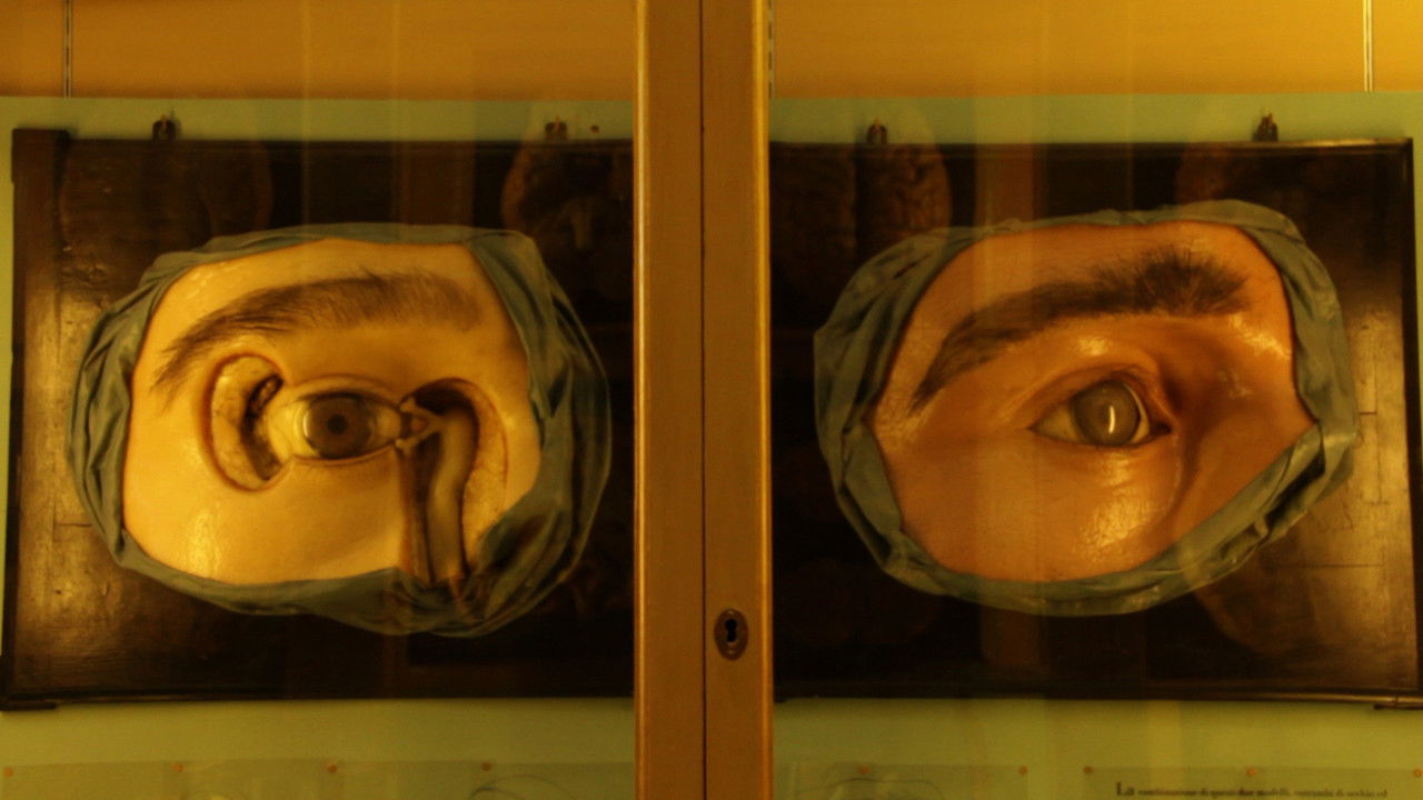 Chasing The Wind backdrop