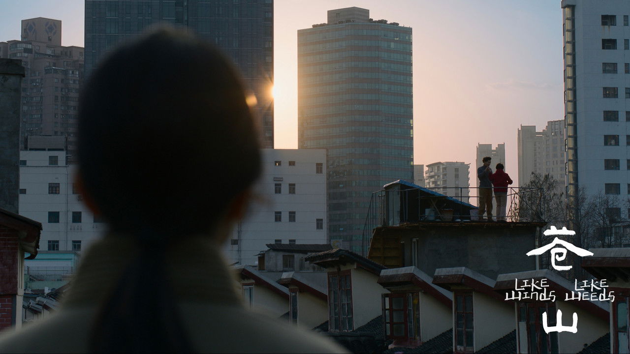 Like Winds, Like Weeds backdrop