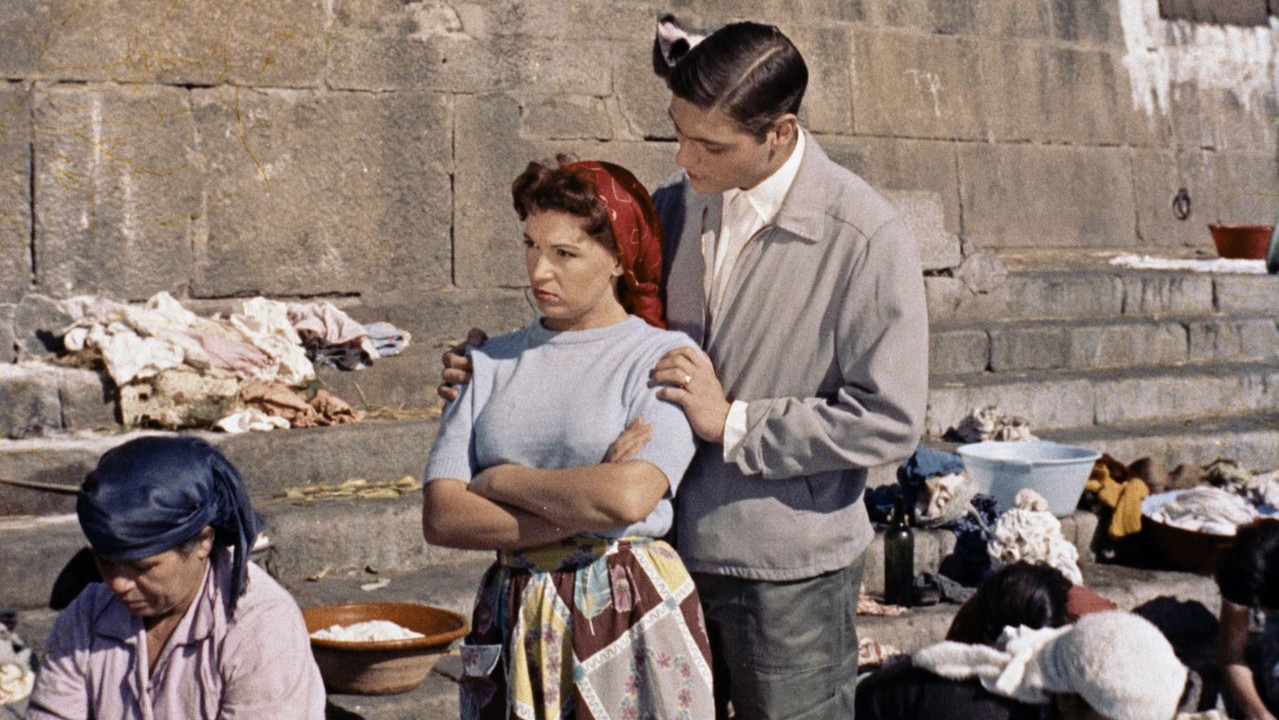 The Little Bird of Ribeira backdrop