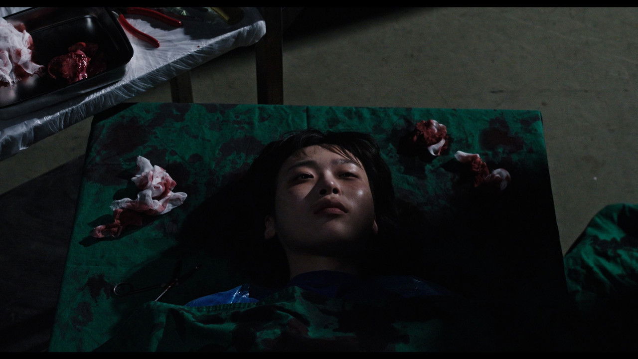 How to Kill a Vampire backdrop