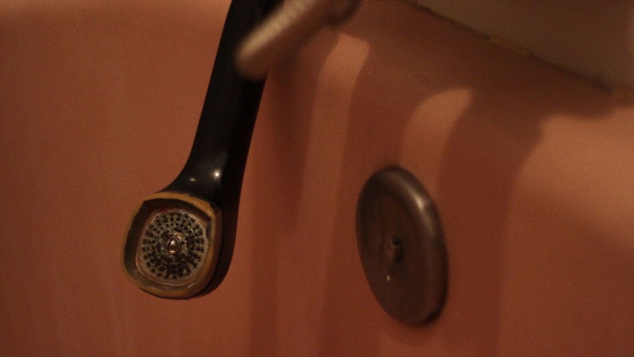 San Ildefonso Experience backdrop