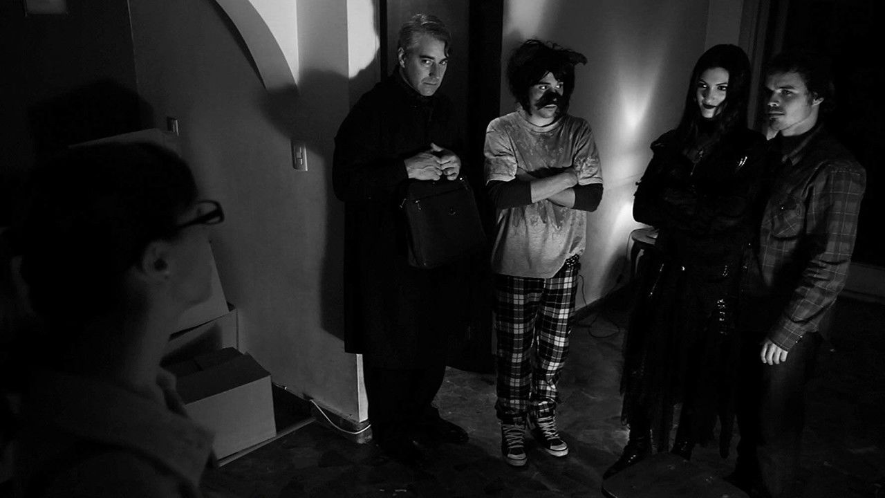 The Night of the Chihuaua backdrop