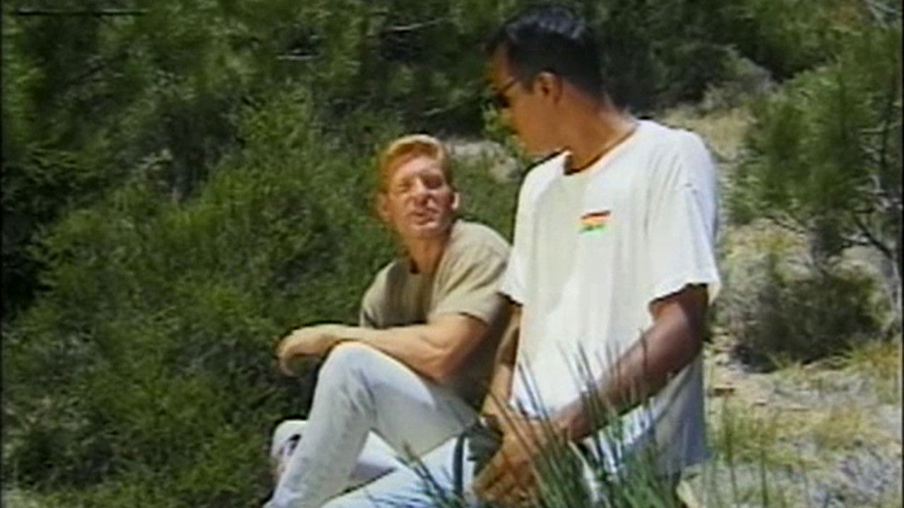 Forest Rump backdrop