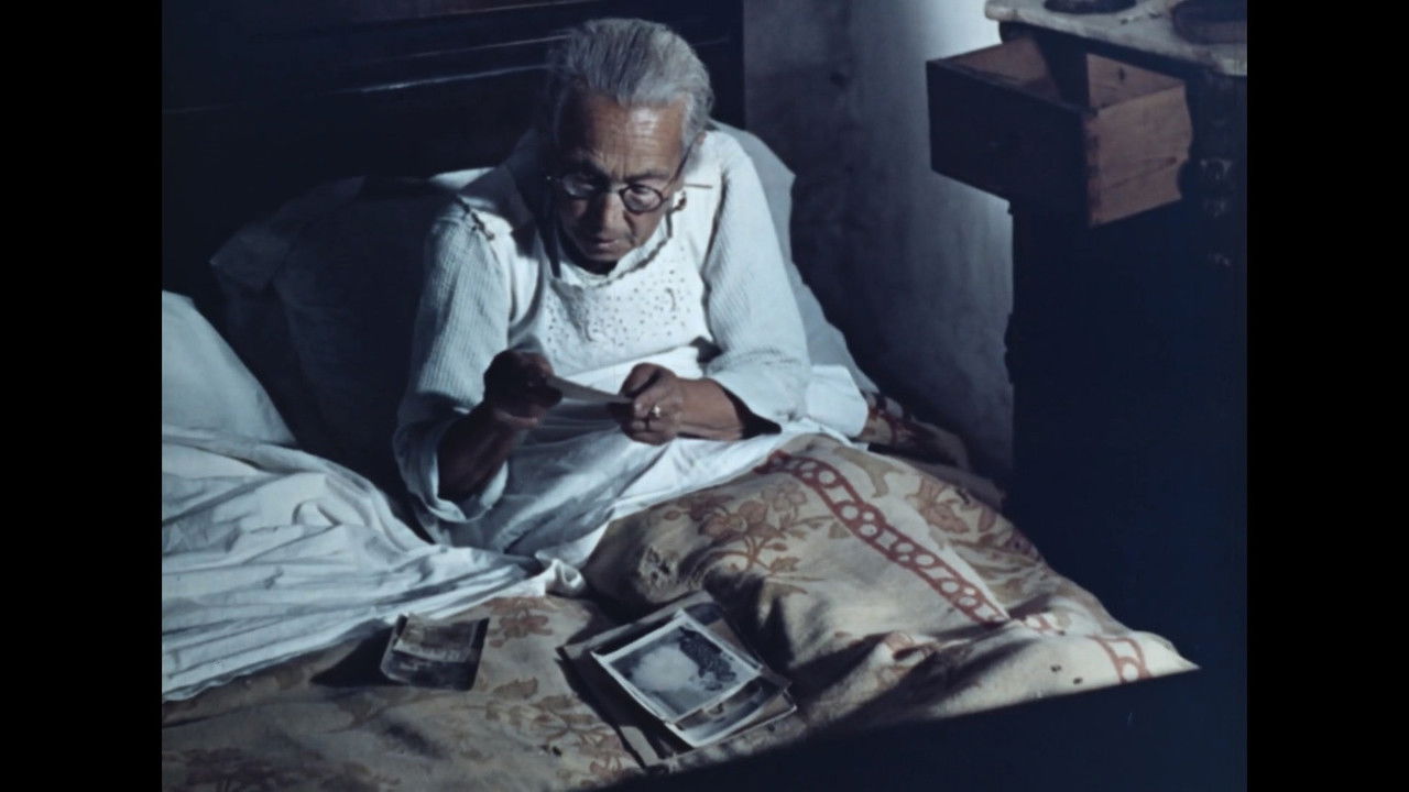 Maria's Days backdrop