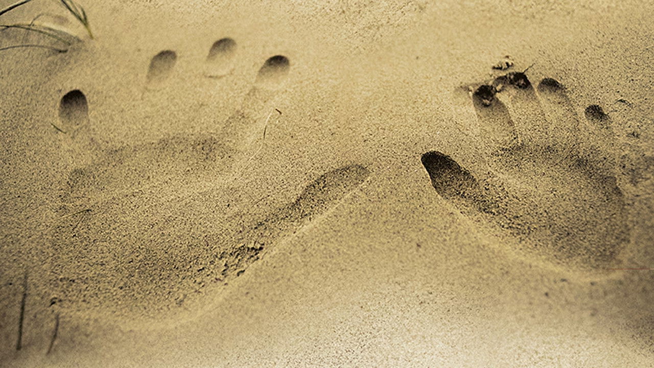 Come mio padre backdrop