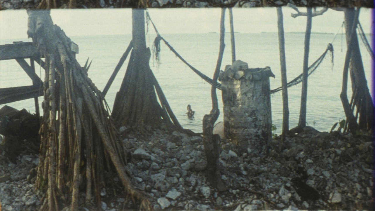 Slow Action backdrop