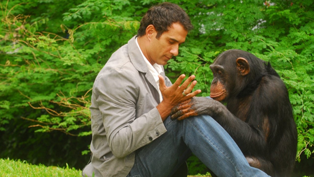 Watercolors of Love backdrop