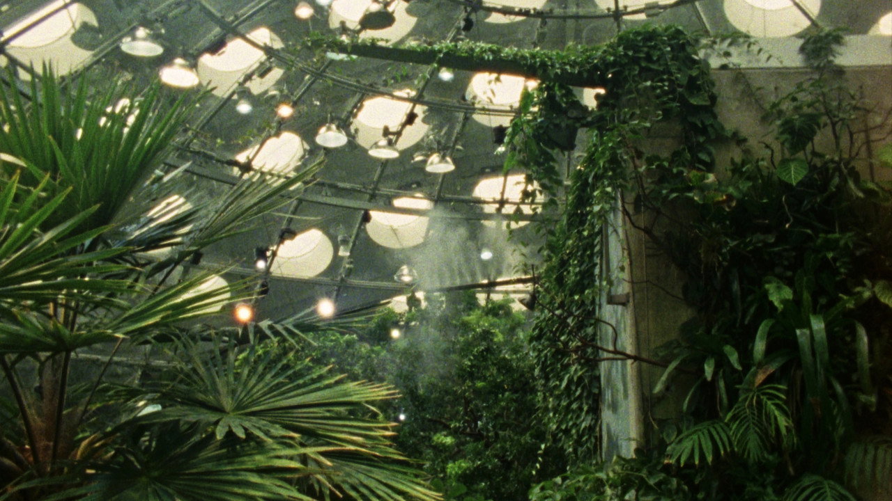 Tropical Fractals backdrop