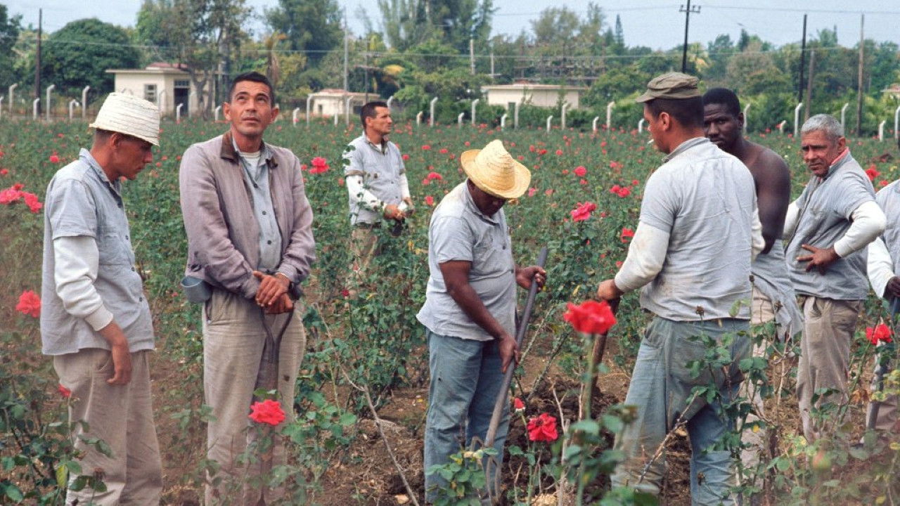 Waiting for Fidel backdrop