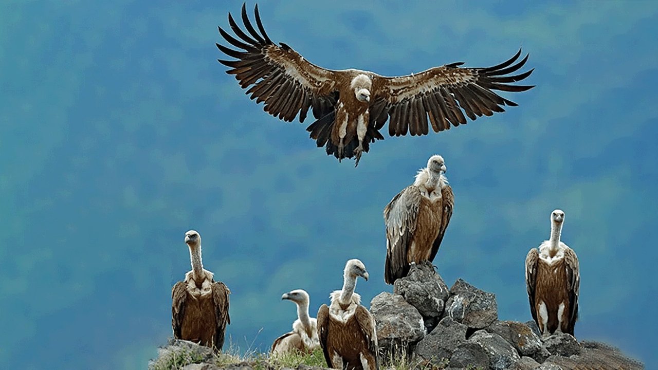 Clean Up Crew backdrop