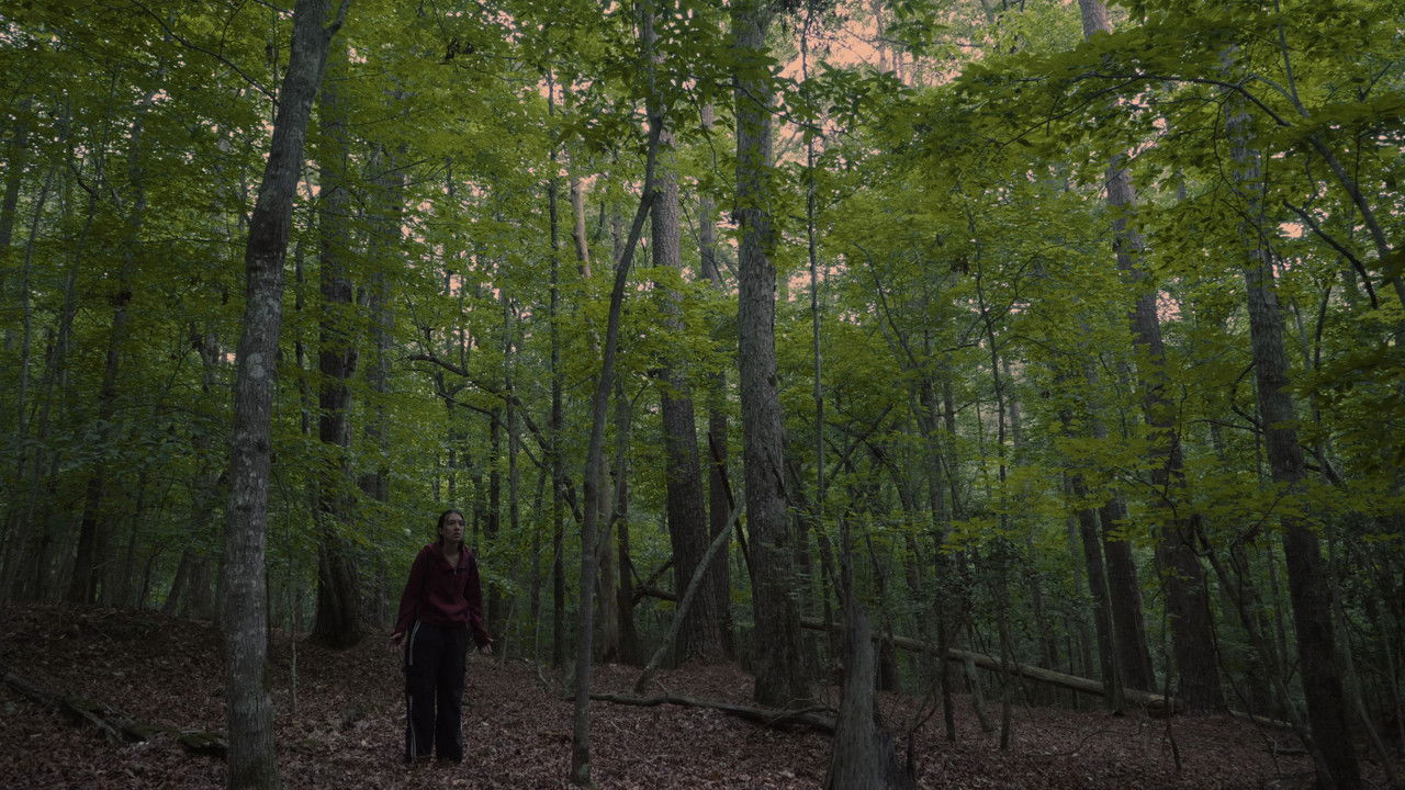 Echoes of the Absent backdrop